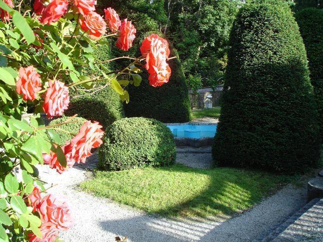 Hotel De France Montbéliard Dış mekan fotoğraf