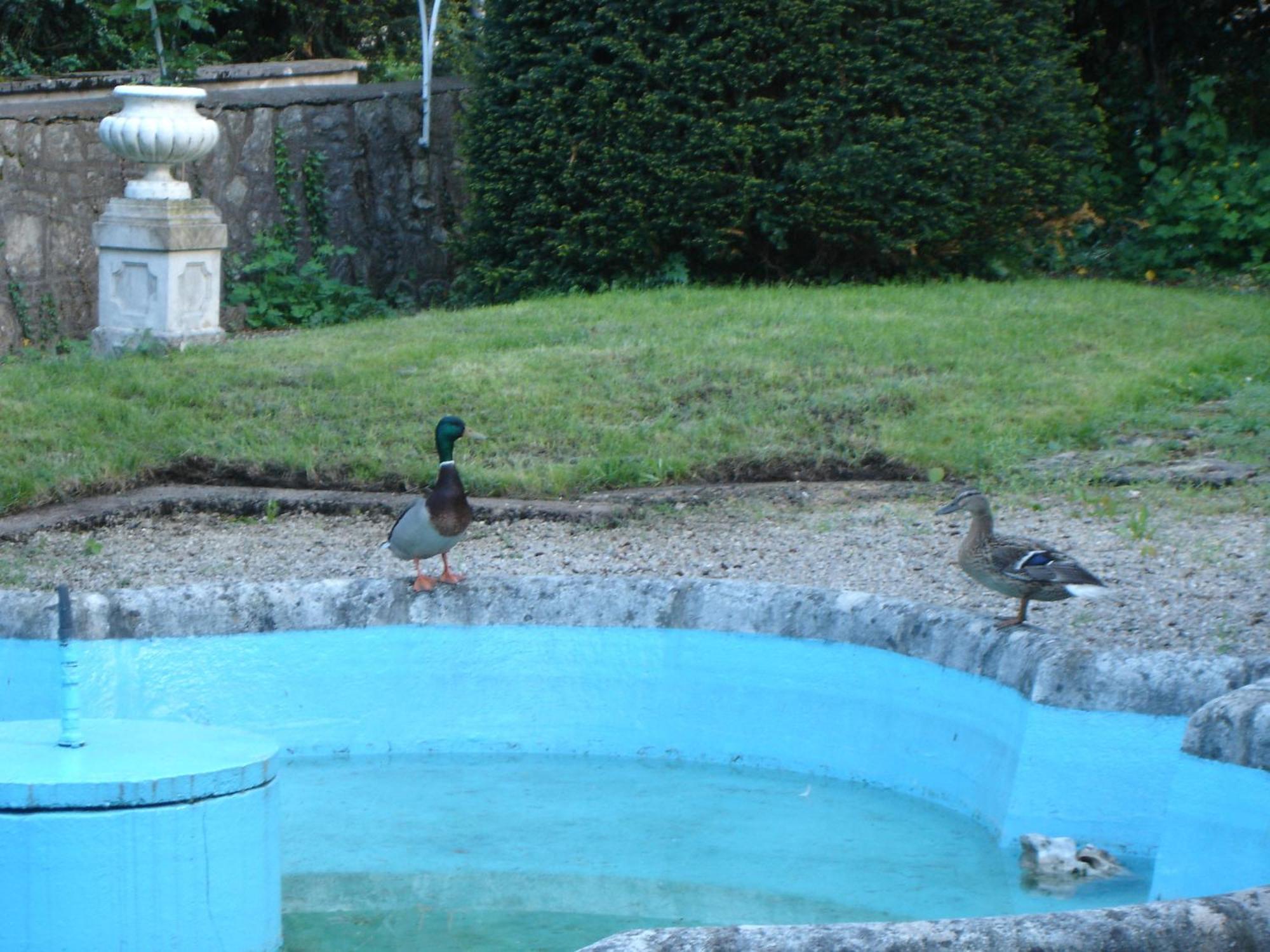 Hotel De France Montbéliard Dış mekan fotoğraf